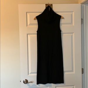 Icebreaker merino wool dress